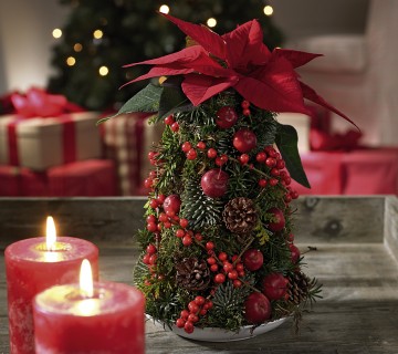 2008-cdb-164966 namizno drevesce