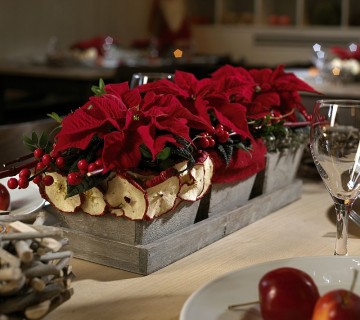 2010-gastro09 m lonček z jabolki