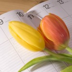 tulipani in rokovnik s koledarjem
