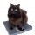 Ima mačka prekomerno težo?