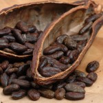 kakavova zrna